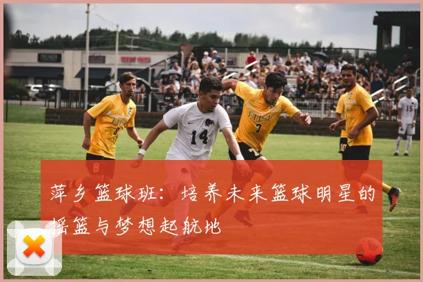 萍乡篮球班：培养未来篮球明星的摇篮与梦想起航地