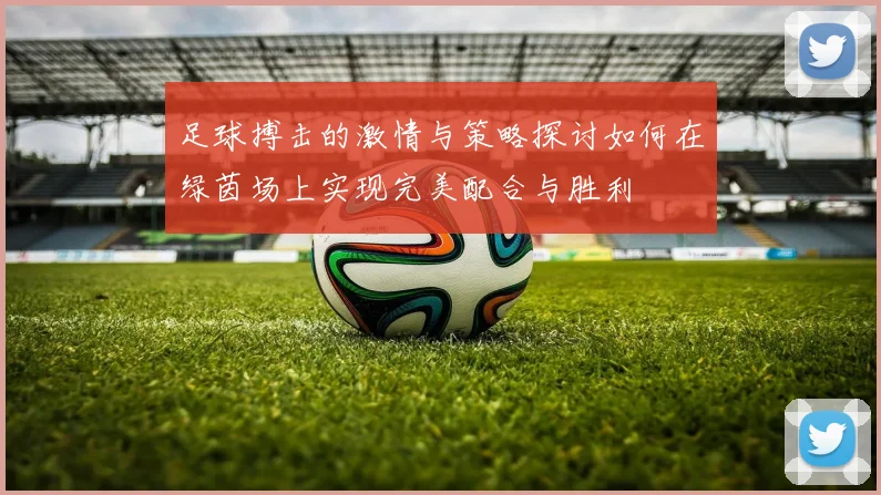 足球搏击的激情与策略探讨如何在绿茵场上实现完美配合与胜利
