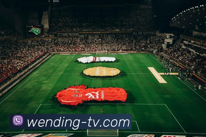 问鼎娱乐下载APP 封面图